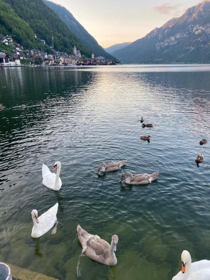 Hallstatt Lakeside Top 4 - Zimmer Mit Balkon Kültér fotó